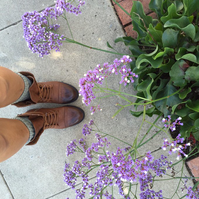 Flowers and boots. Always always. https://t.co/QWYGWW9ey2<a href="/tag/aftercare"class="tags"><span>#aftercare</span></a>