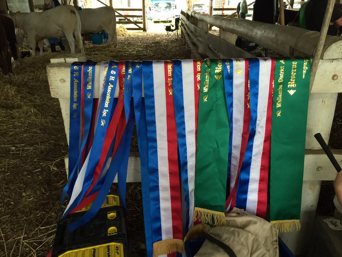 Joshua Gilbert tweet media