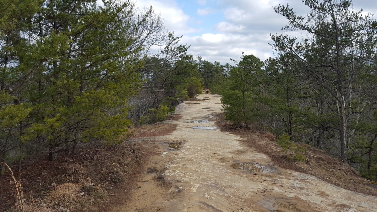 ScottParkey's tweet photo. On top of #NaturalBridgeKY in late February. https://t.co/vGgISvRxL2