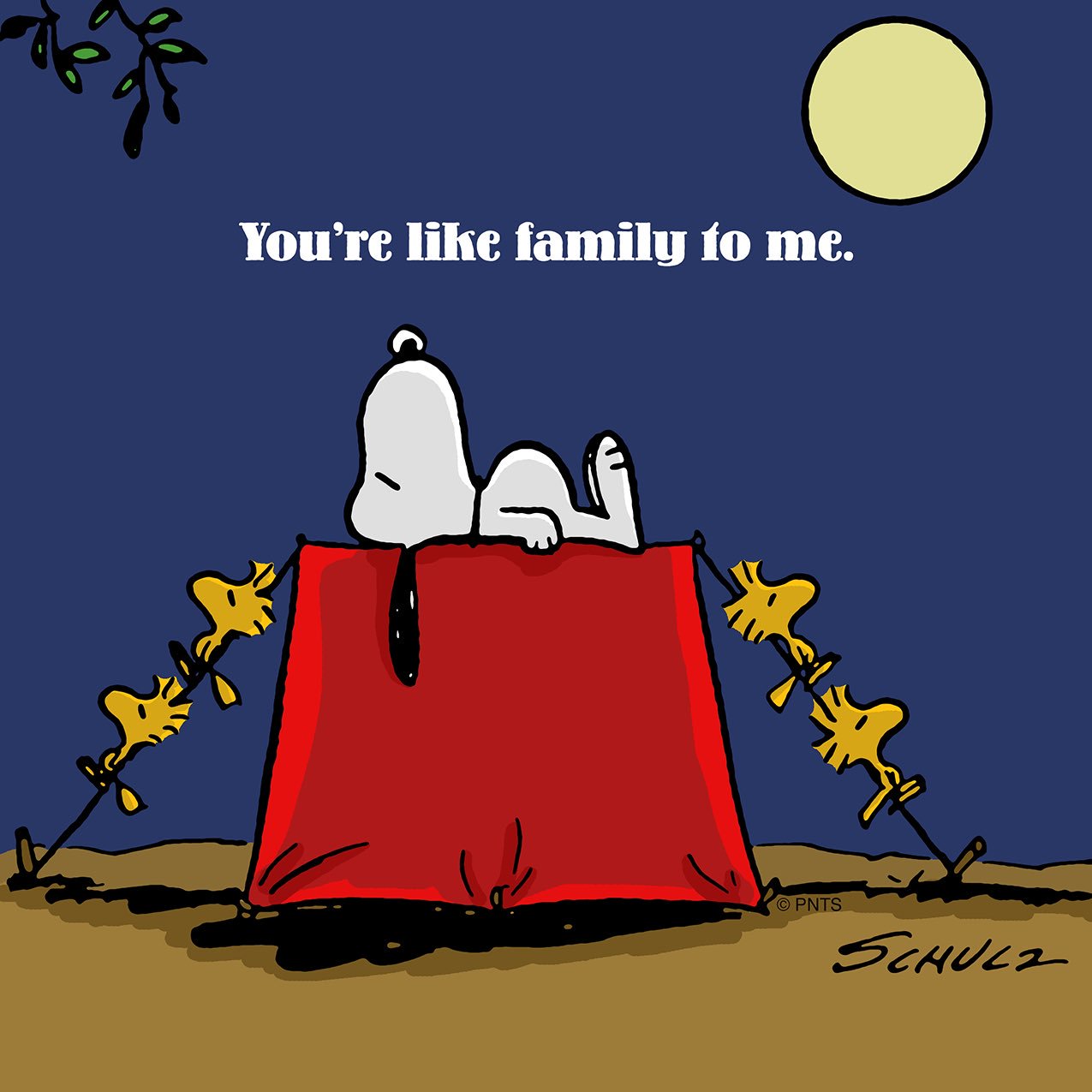 Peanuts You Re Like Family To Me T Co 7anuyhljkr Twitter Peanuts You Re Like Family To Me T Co 7anuyhljkr Twitter