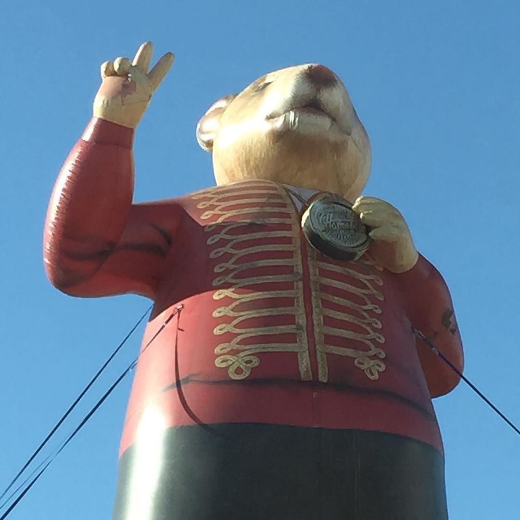 larissala's tweet photo. It's Sir Party Rat thank you!! #partyrat #losangeles #whatthefisheselling https://t.co/quJaabAbZt https://t.co/UBDZyCXukx