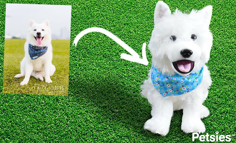 inertiablonde's tweet photo. Woah! Now you can get a custom stuffed animal of your pet from @BudsiesToys https://t.co/O7gDSsED1m https://t.co/jxzc70Y8BX
