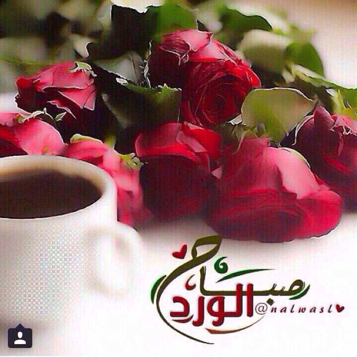 majed__saad tweet picture