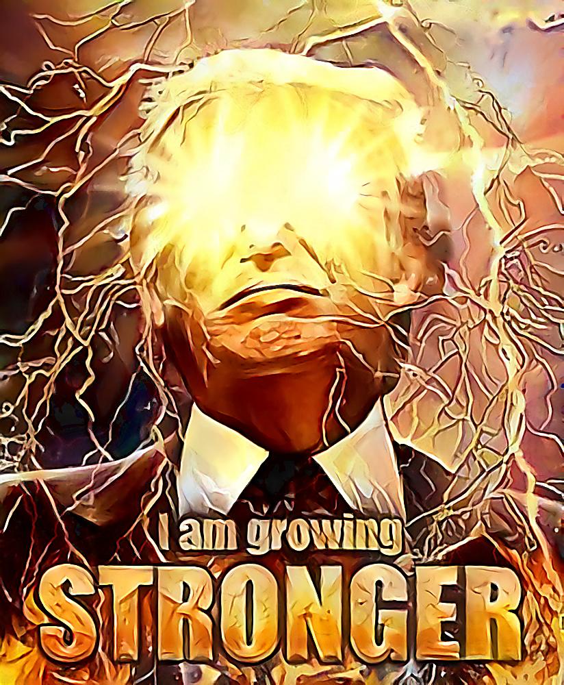 doggo_righto's tweet photo. It's time to support @realDonaldTrump . Do what you can for Super Tuesday!!!! #Trump2016 #TrumpTrain #HighEngery https://t.co/piliZcmRrl