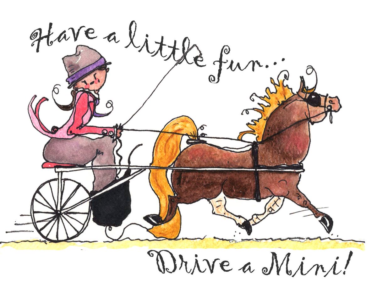AuroraArabian's tweet photo. #DISCOVERARABIANHORSES https://t.co/zbn0rRRWXk