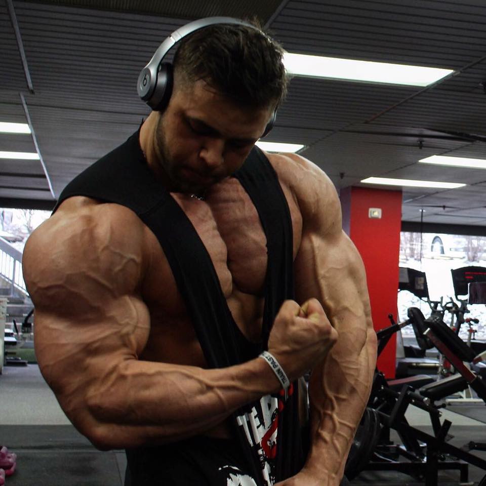 RISING_MUSCLE's tweet photo. Regan Grimes - 1 week today till the Arnold Classic!
#regangrimes #ifbb #cbbf #npc #teamaceto #arnoldclassic https://t.co/Ql9aQNHwwr
