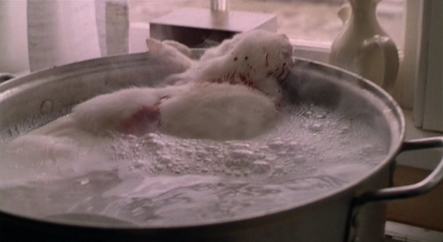 TrivCool14's tweet image. The @SwampRabbits after the @WheelingNailers finished them off tonight! #RabbitStew #WayToGoNailers #Huge2Points