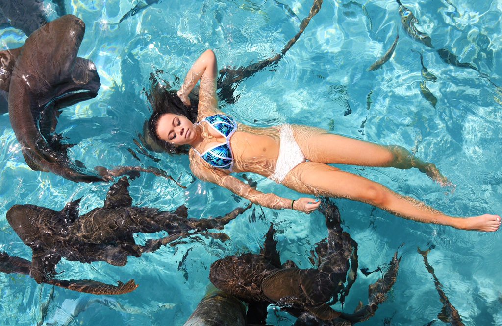 casually swimming with sharks... sorry mom. 