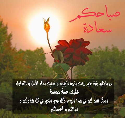 صباح الثقة بالله