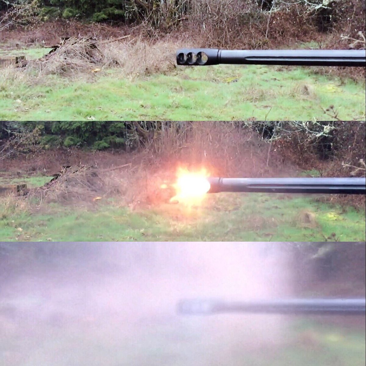 TimberCreek Outdoors tweet media