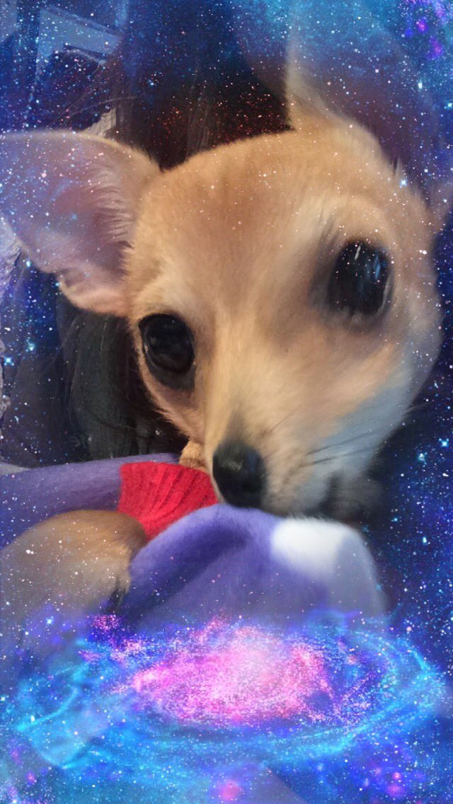 Ali_Alicia5's tweet photo. Failed at using snapchat filters on Dexter https://t.co/gWqxzPkV78