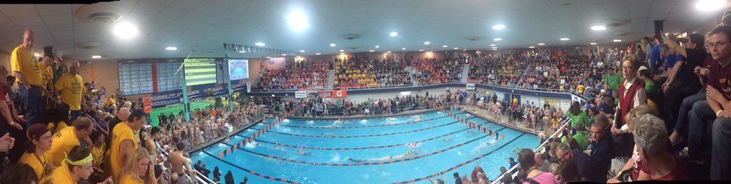 Swimmin101's tweet photo. #PoolPorn https://t.co/CfVypIVGDS