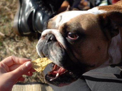 MiQLtd's tweet photo. #Oracle #CEO #SafraCatz advises 'don’t eat dog food'
via @businessinsider 
#miq

 https://t.co/Z7DH6wnrJT https://t.co/WBWKv7mG04