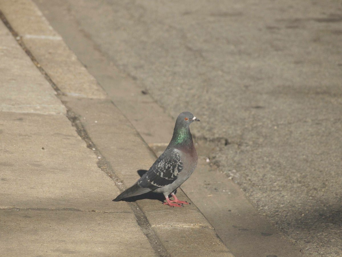 spacespasm's tweet image. i miss chicago.