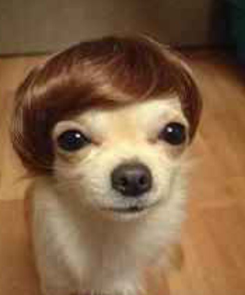 ☆ (@lapetltemor) on Twitter photo 