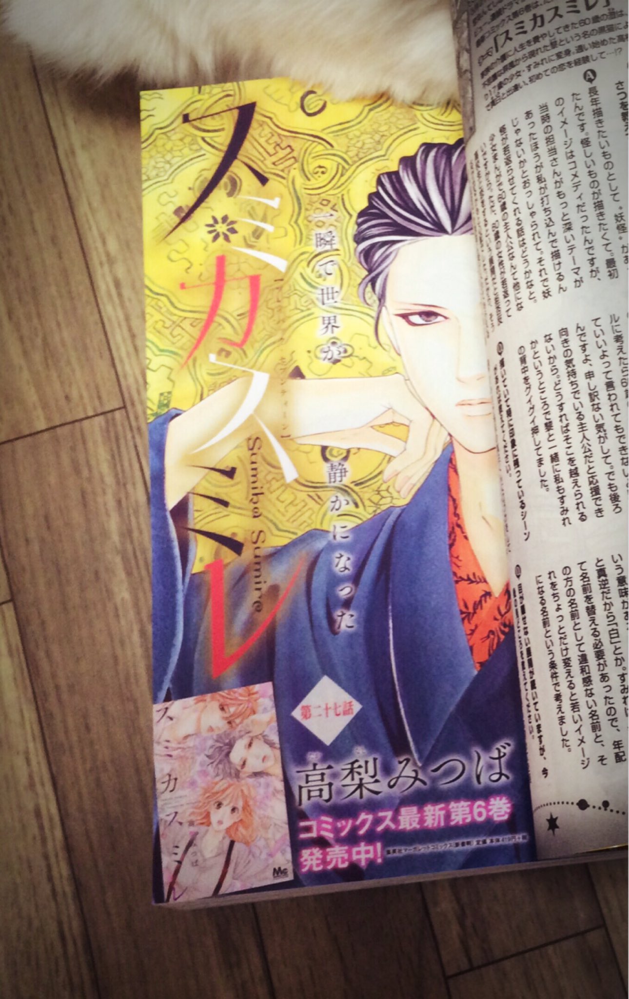リリー クロフォード riri Twitter