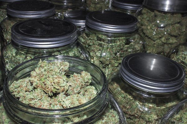 ThinkTankExile's tweet photo. Best #Denver #Cannabis Tourism Ideas - https://t.co/LWvBqthasi #tourism #travel #vacation https://t.co/4SgDU07NoI