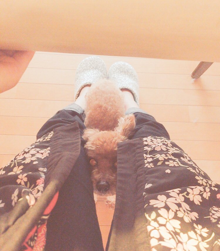 tyancoco tweet picture