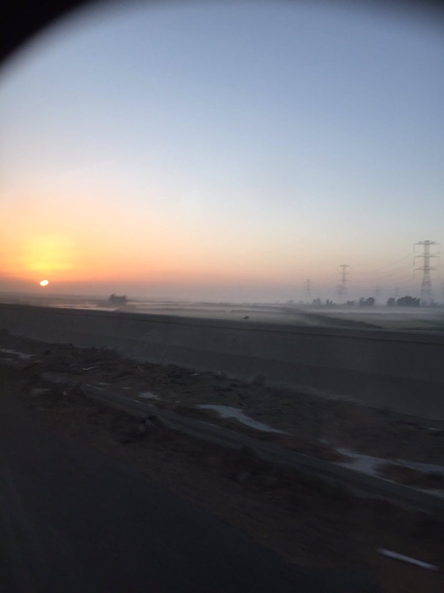 BenHannah3's tweet photo. Misty sunrise in Alexandria #desertmist #Alexandriasunrise https://t.co/lqyGSw938h