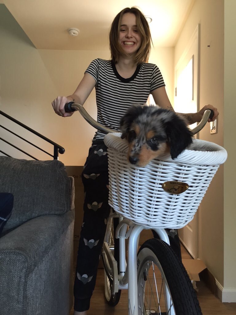 averyavenue's tweet photo. pupper in a basket , i am living !! https://t.co/rE9Auhkzuy