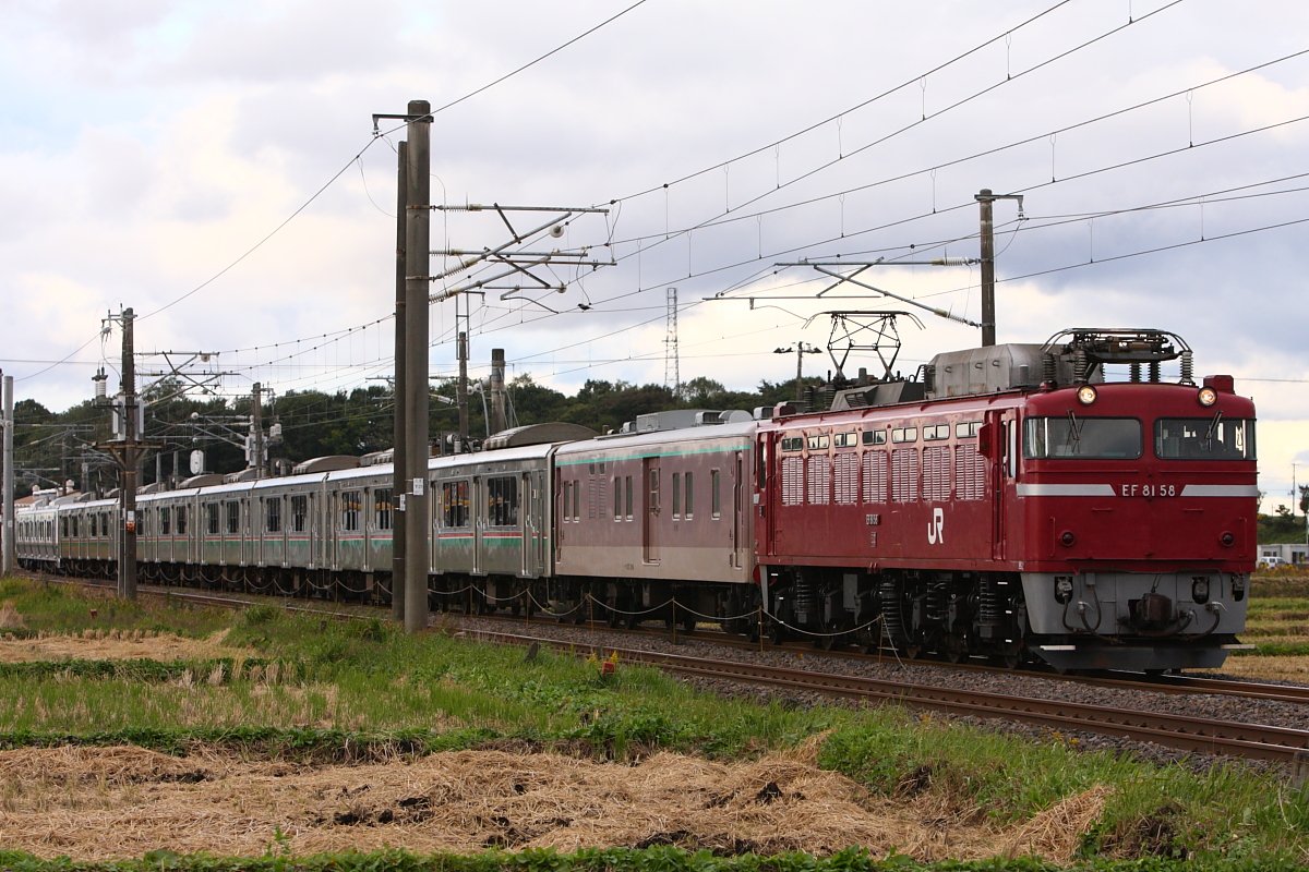 超エビグラタンちゃん☆ tweet media