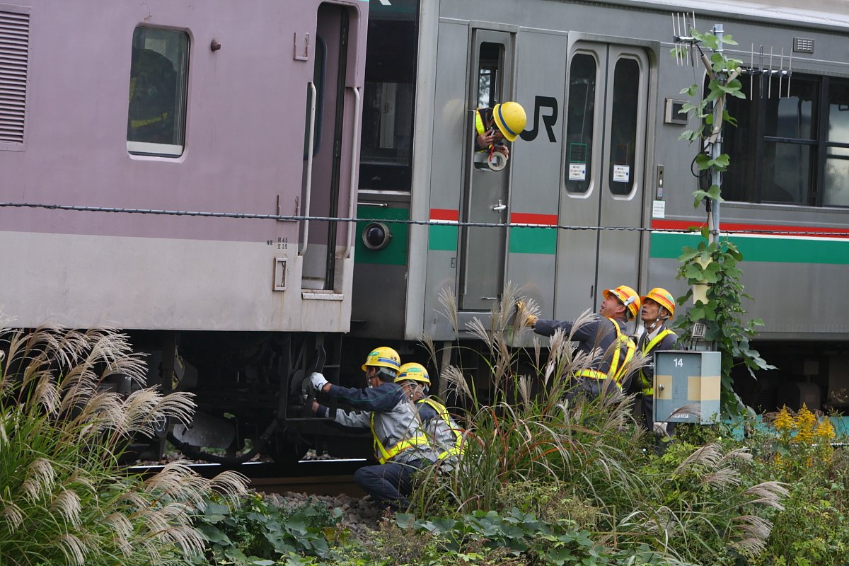 超エビグラタンちゃん☆ tweet media