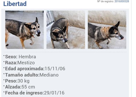 María Martín tweet media