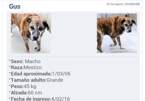 María Martín tweet media