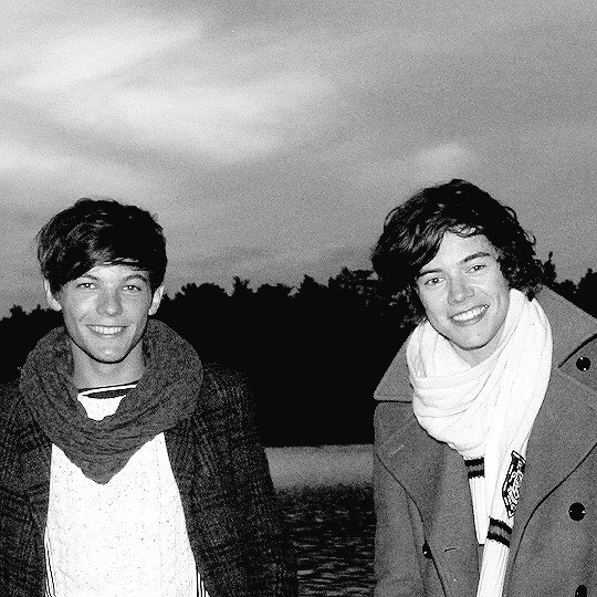 blackwhiteIarry tweet picture