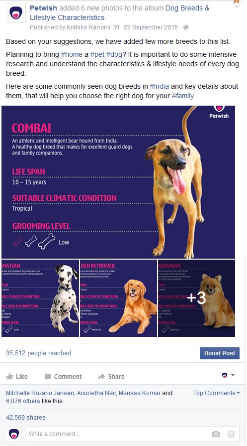 krithikaramani3's tweet image. User-focused #ContentMarketing that worked for @PetwishIndia #DigitalCPC @socialbeatindia
