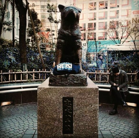 dwii_ELFishy's tweet photo. hachiko 😭 💕 https://t.co/Zy8XnY1rGZ