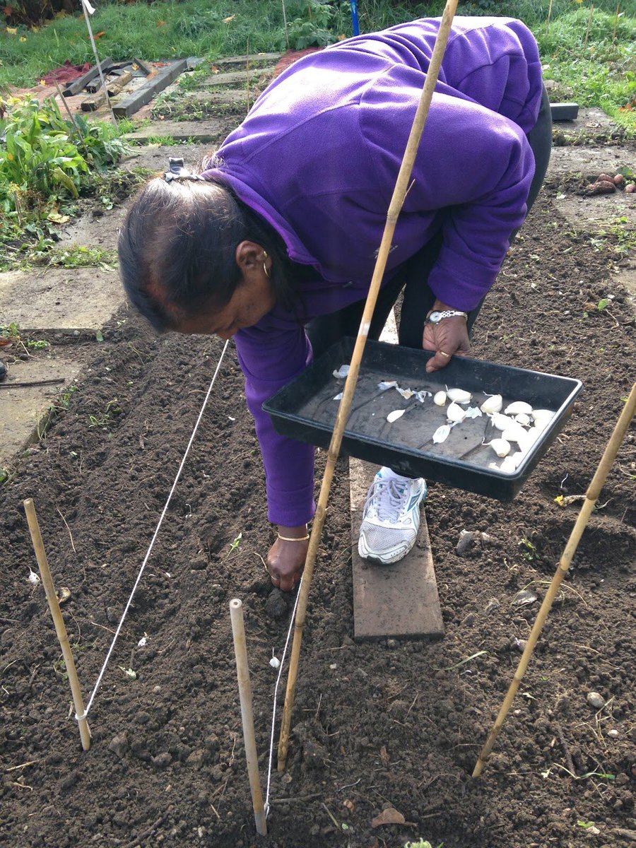 tttooting's tweet photo. Learn about growing food!
Workshops start in 3 weeks: all welcome, all FREE, all details at https://t.co/eMZWjsVFsN https://t.co/cvJaqPwZ8j