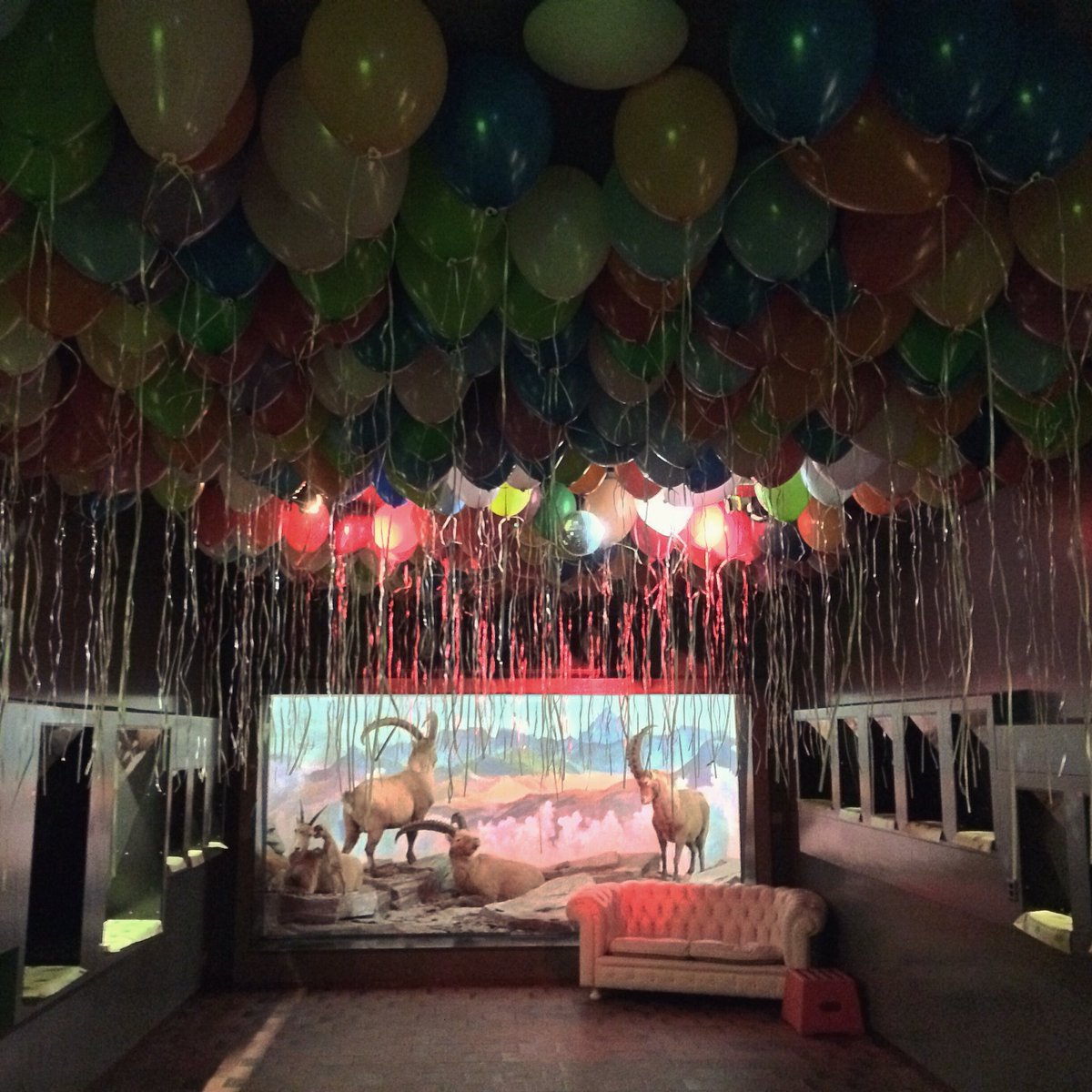 Bar der toten Tiere (@bardtt) on Twitter photo Danke für den tollen Saisonabschluss. Es war schön mit uns! @NMBern Danke für den tollen Saisonabschluss. Es war schön mit uns! @NMBern