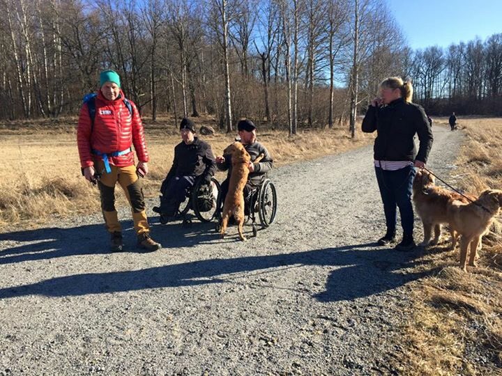 Traneving's tweet photo. #Järvafältet idag promenad med #föreningen #Skogstur som vill #aktivera #funktionshindrade med #friluftsliv https://t.co/x0IPOC6aoY