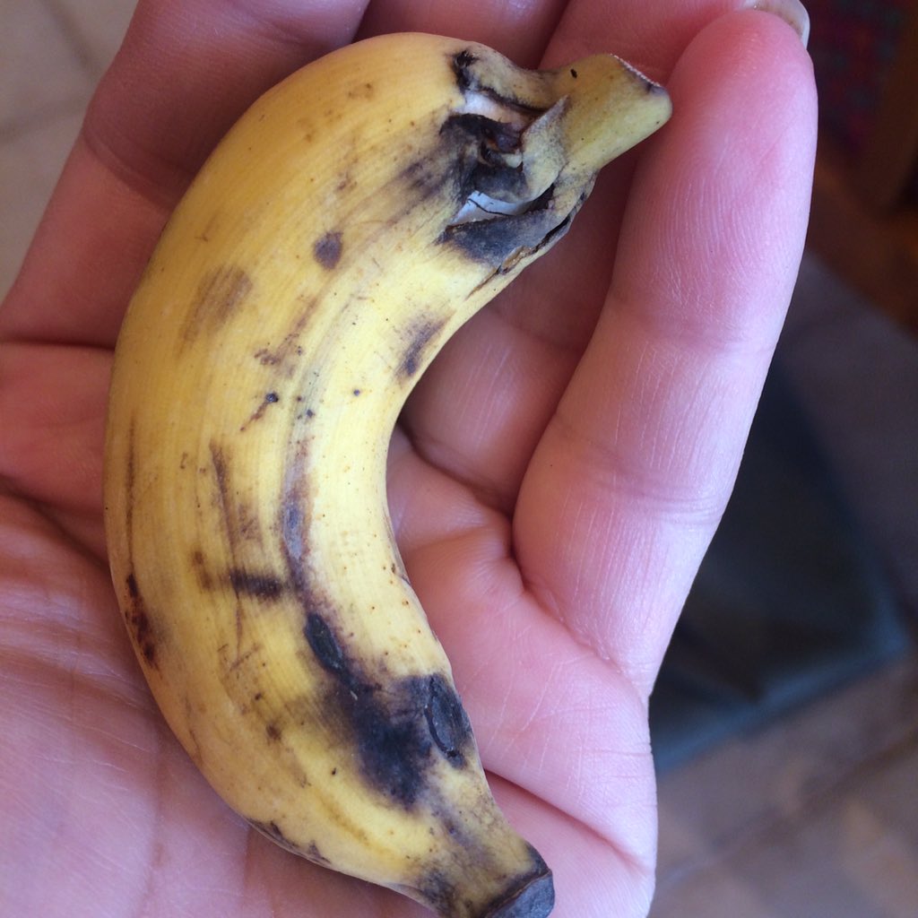 LisaAdamsInNYC's tweet photo. Tiniest banana ever! #tamilnadu #tajvivanta #breakfastinindia #tinyfruit #banana https://t.co/fxjCDPPF8a