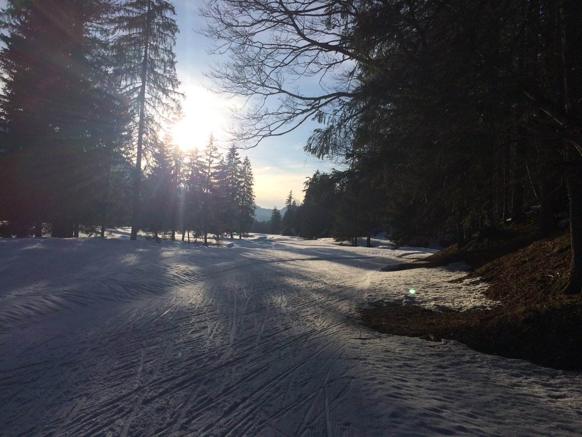StefSutor's tweet photo. Hurra Schnee mit Skatingloipe gefunden https://t.co/PrRbpJxEzi