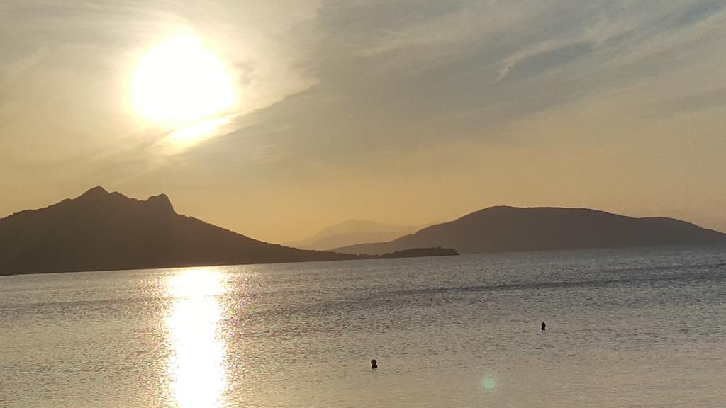 yanisvaroufakis's tweet photo. There are few non political joys in life. Aegina now is the exception. Pure joy. Wish you were here Trolls included! https://t.co/B5IiGhdQY1