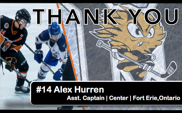 FEMeteors's tweet photo. #14 Alex Hurren, played 127 games as a Meteor, was brought to us from @GFEMHA and is an Asst Captain. Thank You Alex https://t.co/QP4f924pK2