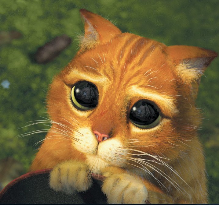 Begging your friends to stop remixing pictures of you from Sticky Feet last night like...