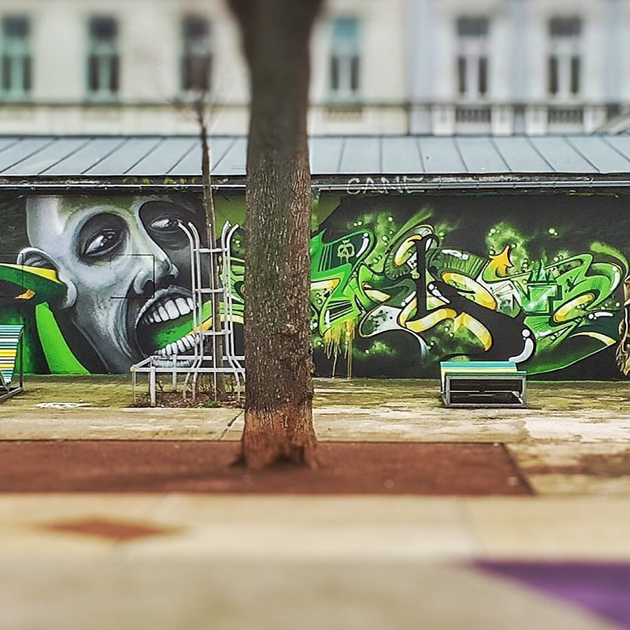 FamigliaVienna's tweet photo. "Fruits of the doom" in muris veritas ( #video1 #siuz #eljerrino #5711 #ewilone #stoneone … https://t.co/spMUFEf6pR https://t.co/ASS3MsNGPO