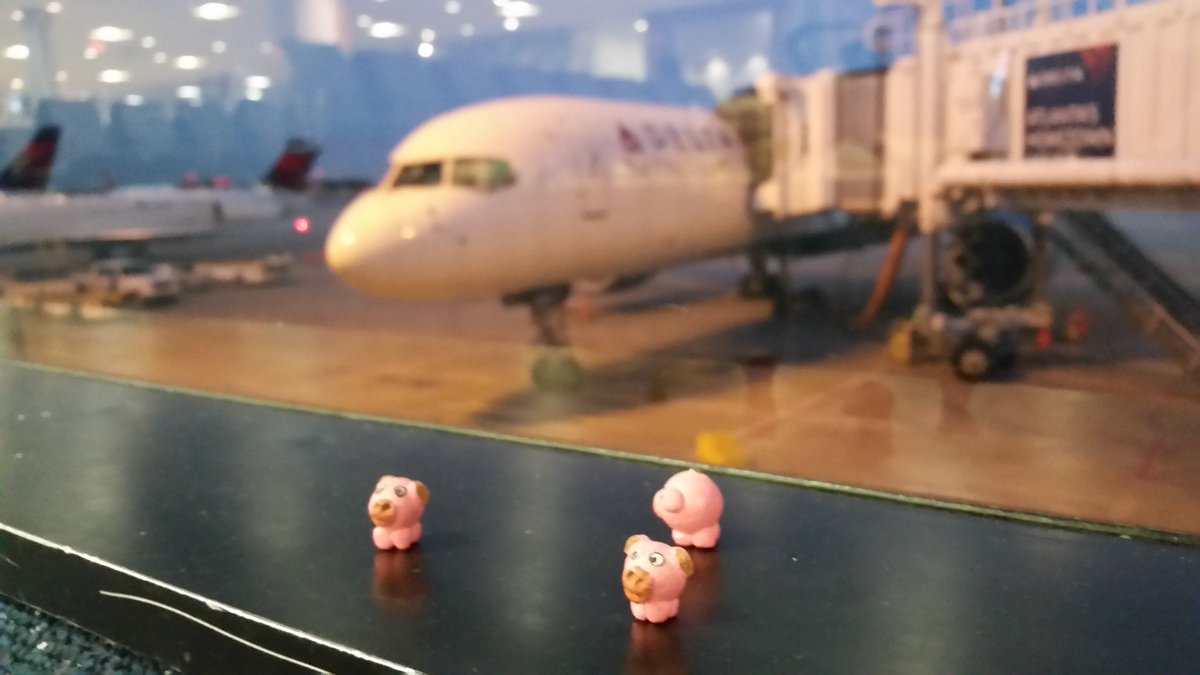 LilPigGees's tweet photo. #PigGeesWhoFly #ATL2LA #WeLoveOurLife #BackToWork https://t.co/cJXNlzEYcm