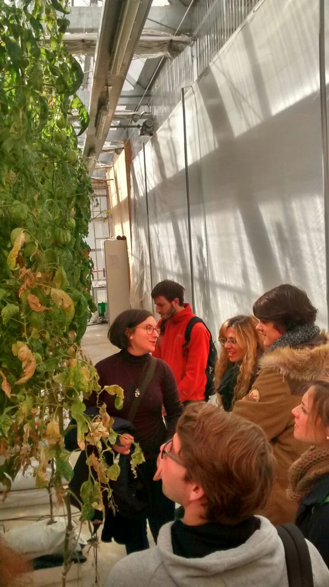 ICTA-UAB tweet media