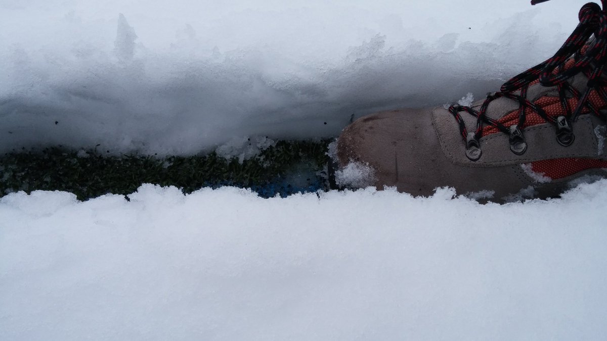 SDALSASUA's tweet photo. 1.Reg// Partido de la tarde contra el Salesianos suspendido por la nieve. https://t.co/9bWRhGnPwW