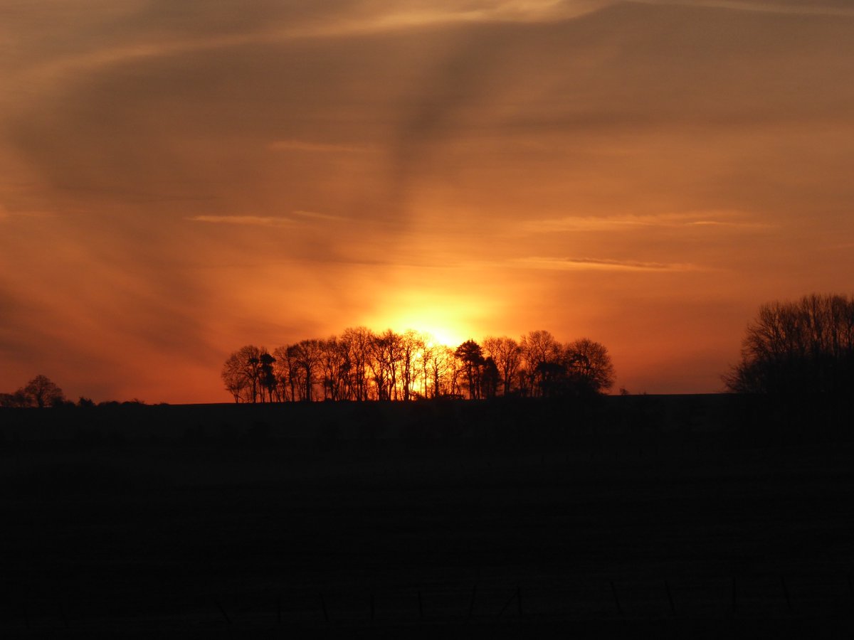 downlanddeer's tweet photo. Cold nights and bright skies - a bumper week @downlanddeer #wildvenison #sustainability https://t.co/lZJ1lGL2IA