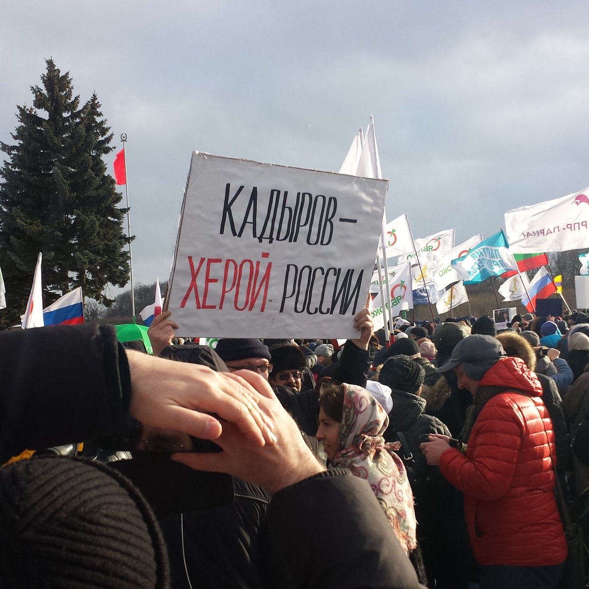 Ilya Diev (@dievilya) on Twitter photo 