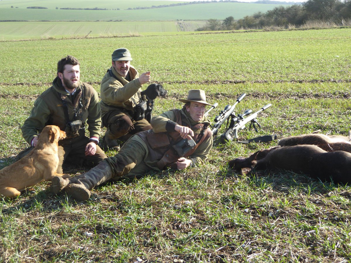 downlanddeer's tweet photo. Taking a break @downlanddeer from #wild #fallow #deermanagement duties... https://t.co/04gjA4iDc5