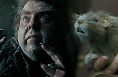 Hogwartssite's tweet photo. Timothy Spall, el actor que dio vida a nuestro Peter Pettigrew, cumple hoy 59 años. ¡Felicidades, Scabbers! https://t.co/EqXdw5TIMO