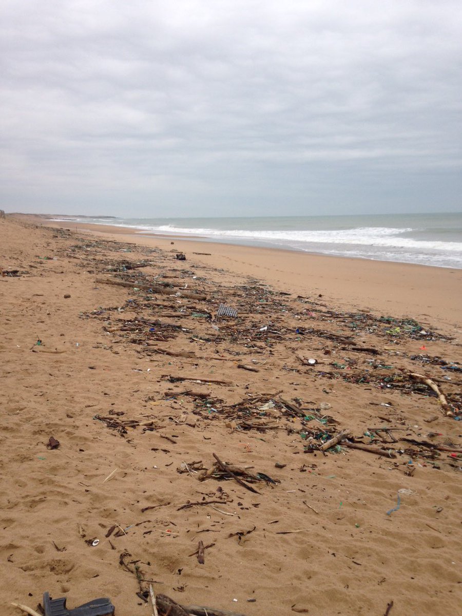 ArthurAvranches's tweet photo. Toujours pas de services pour nettoyer la plage en hiver à #saintgillescroixdevie .. Merci la mairie ! https://t.co/nDxDgvNbW9
