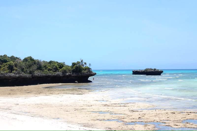 Ferndurstig's tweet photo. Geheimtipp #Sansibar: #Chumbe Island #purenature 😍 - Blogpost: https://t.co/UMsn6koN2f https://t.co/Em4DJ00GNY