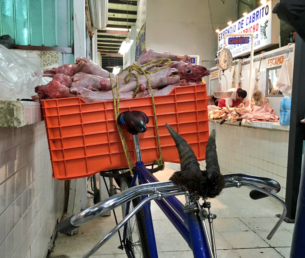 TrincheEstudio's tweet photo. En esta ocasión, #LaRutadelCabrito nos trajo al Mercado de San Juan. En esta bici se reparten cabritos a domicilio. https://t.co/FuNYnb0XDC